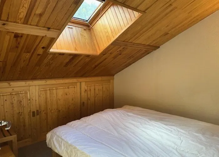 Le Tetras Lyre - Bel Spacieux Mae-6753 *