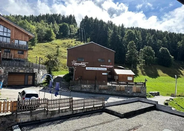 Le Tetras Lyre - Bel Spacieux Mae-6753